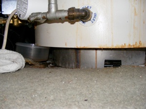 WATER DAMAGE TO FLOOR AND MEGAFLO
